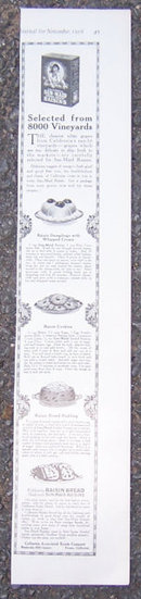Sun Maid Raisins with Recipes 1916 LHJ Advertisement