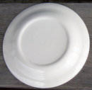 Homer Laughlin China Amsterdam Nautilus Dinner Plate