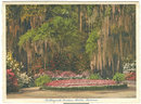 Postcard of Bellingrath Gardens, Mobile, Alabama