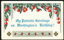 Washington's Birthday Patriotic Postcard with Cherries