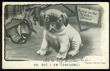 V. Colby Postcard of Lonesome Dog in a Park 1909