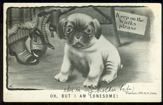 V. Colby Postcard of Lonesome Dog in a Park 1909