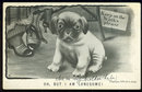 V. Colby Postcard of Lonesome Dog in a Park 1909