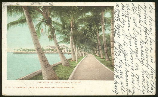 Postcard of The Walk at Palm Beach, Florida 1904