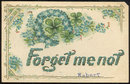 Forget Me Not Postcard With Four Leaf Clovers