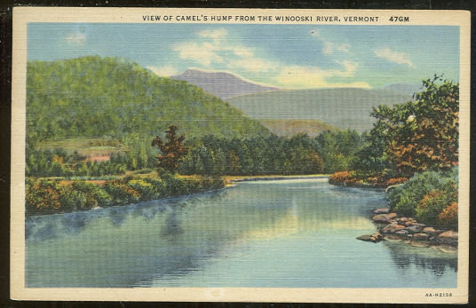 Postcard Camel's Hump from Windoski River Vermont 1954