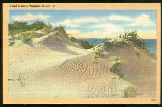 Postcard of Sand Dunes, Virginia Beach, Virginia