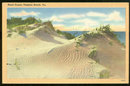 Postcard of Sand Dunes, Virginia Beach, Virginia