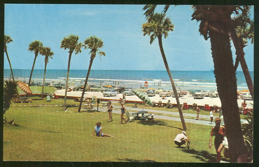 Postcard of Beach and Palms Daytona Beach, Florida