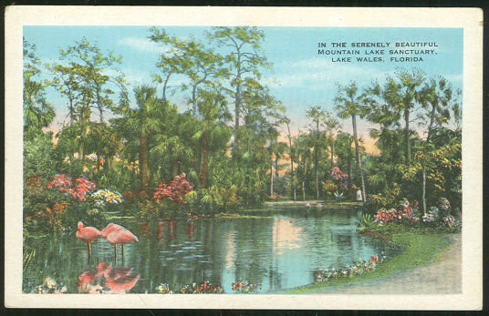 Postcard of Mountain Lake Sanctuary Lake Wales, Florida