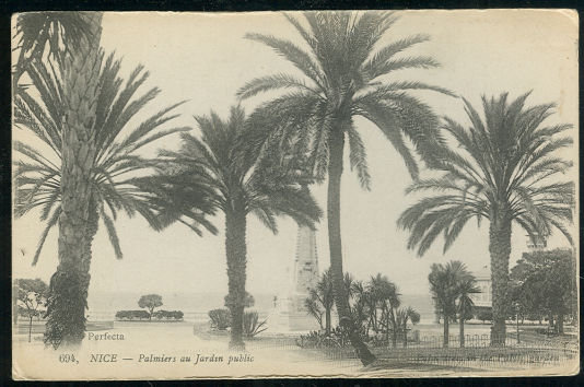 Postcard of Nice, France Palmiers au Jardan Public 1918