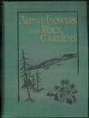 Alpine Flowers and Rock Gardens by Walter Wright 1913