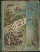 Stories and Pictures of Wild Animals by Anna Burnham