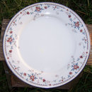 Noritake China Adagio Design Dinner Plate