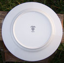 Noritake China Adagio Design Dinner Plate