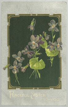 Peaceful Easter To You Postcard with Violets 1910