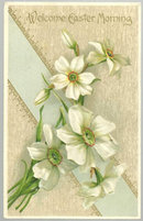 Welcome Easter Morning Postcard with White Flowers