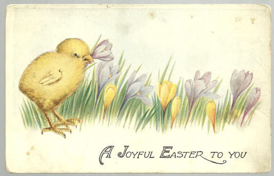 Joyful Easter to You Postcard with Chick and Crocuses