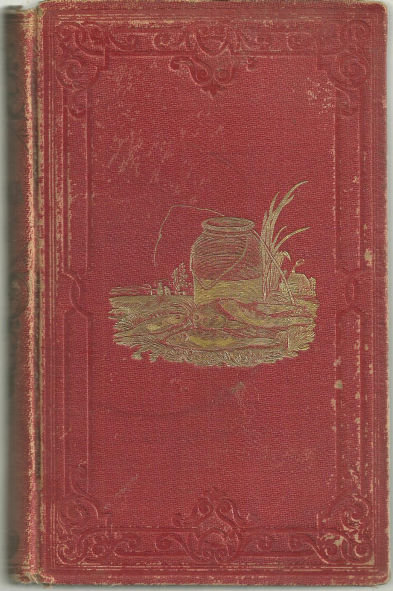 Fisher Boy by Willie Triton 1858 Adventure Fiction