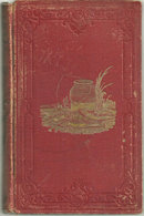 Fisher Boy by Willie Triton 1858 Adventure Fiction