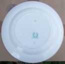 Wm. Grindley Dinner Plater with Bird and Floral Design