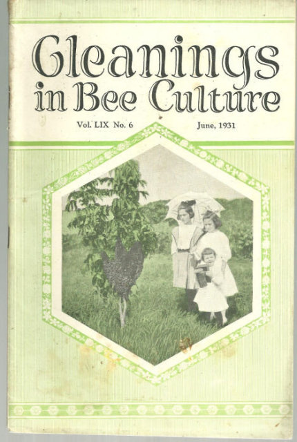 Gleanings in Bee Culture June 1931 Comb Honey