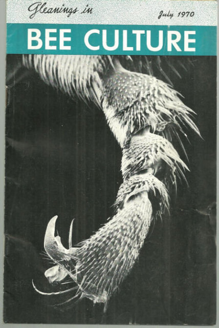 Gleanings in Bee Culture July 1970 Future of Beekeeping