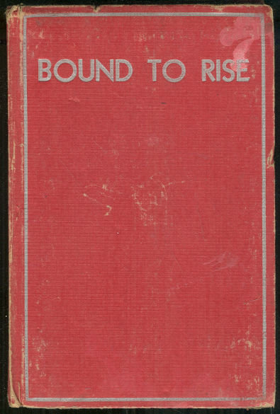 Bound to Rise by Horatio Alger Story of a Country Boy