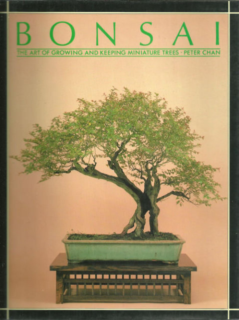 Bonsai The Art of Growing and Keeping Miniature Trees