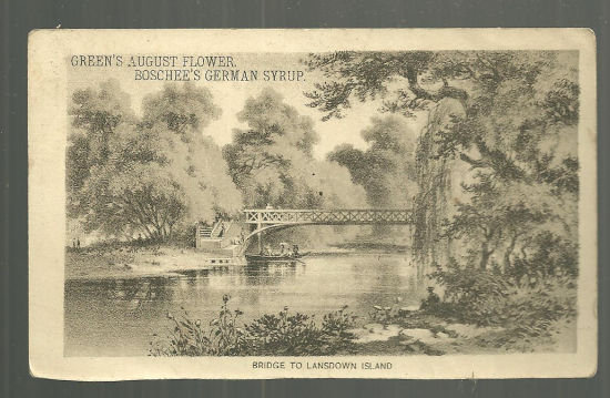 Green's August Flower Boschee's German Syrup Trade Card