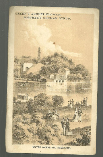 Green's August Flower Boschee's German Syrup Trade Card