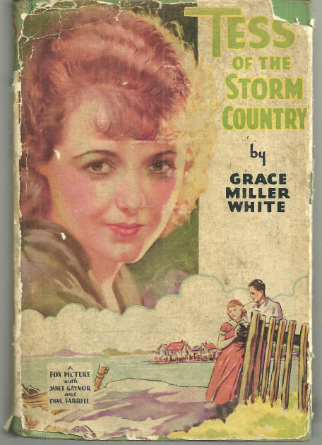 Tess of the Storm Country 1909 Photoplay edition with DJ