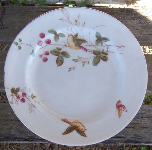 Decorative Plate with Birds and Berries and Gold Trim