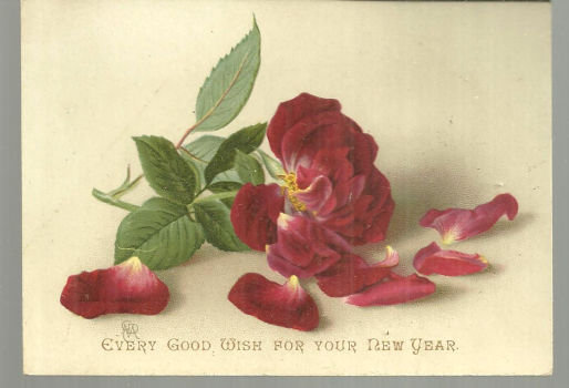 Victorian Good Wish for New Year Card with Red Rose