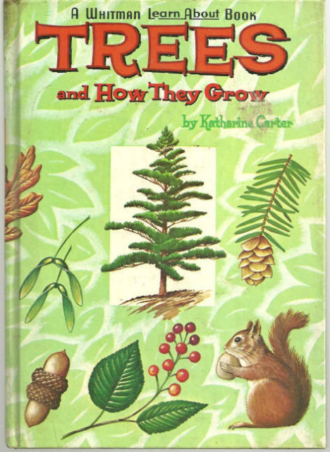 Trees and How They Grow by Katherine Carter 1961 Illus