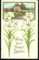 Vinrage Happy Easter Postcard with White Easter Lilies