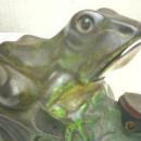 Frog Bank