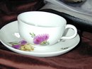 Meissen Marcolini Cup and Saucer