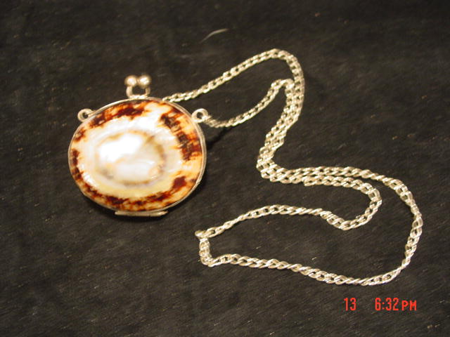 Antique Shell & Silver Change Purse Snuff Purse