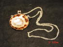 Antique Shell & Silver Change Purse Snuff Purse