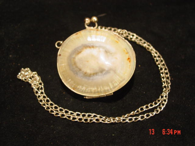 Antique Shell & Silver Change Purse Snuff Purse