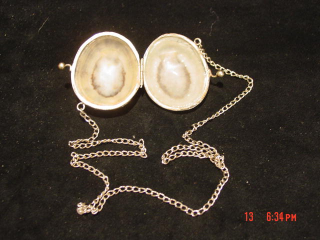 Antique Shell & Silver Change Purse Snuff Purse