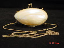 Antique Mother of Pearl Shell & Silver Change or Snuff Purse
