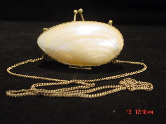 Antique Mother of Pearl Shell & Silver Change or Snuff Purse