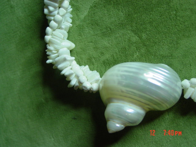 White Shell Necklace