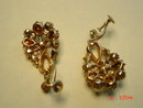 STAR Rhinestone Screwback Earrings