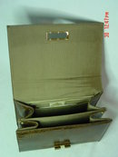 Triangle New York Brown Reptile Handbag Purse