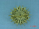 Vintage AB Rhinestone Shriner Pin