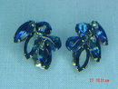 Dark Blue Rhinestone Clip Earrings
