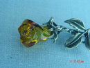Baltic Amber Sterling Silver Rose Pin